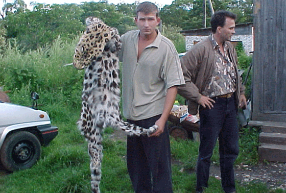 Anti-poaching